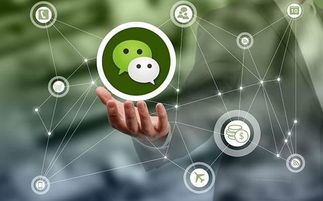 微信社群商業(yè)模式網(wǎng)絡(luò)營(yíng)銷思路