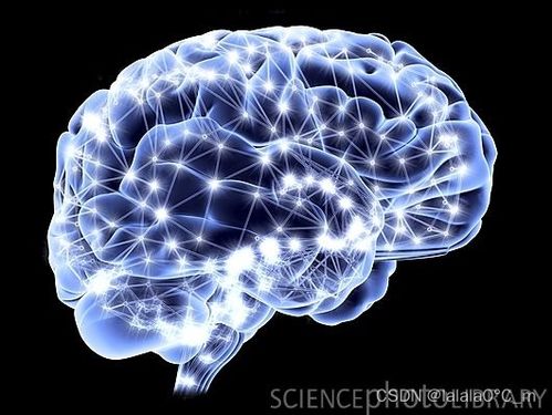 認(rèn)識神經(jīng)網(wǎng)絡(luò) 從神經(jīng)元到深度學(xué)習(xí) 全面清晰易懂